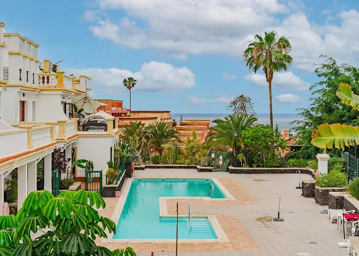 Windsor Park Brand New * アデヘ